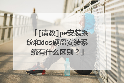 [���]pe��װϵͳ��dosӲ�̰�װϵͳ��ʲô����