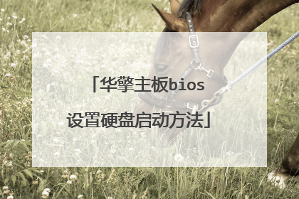 ��������bios����Ӳ����������