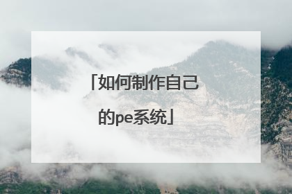 ��������Լ���peϵͳ