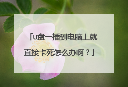 U盘一插到电脑上就直接卡死怎么办啊?