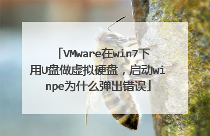 VMware��win7����U��������Ӳ�̣�����winpeΪʲô��������