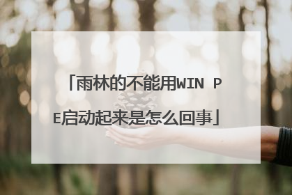 ���ֵĲ�����WIN PE������������ô����