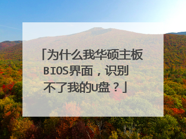 Ϊʲô�һ�˶����BIOS���棬ʶ�����ҵ�U�̣�