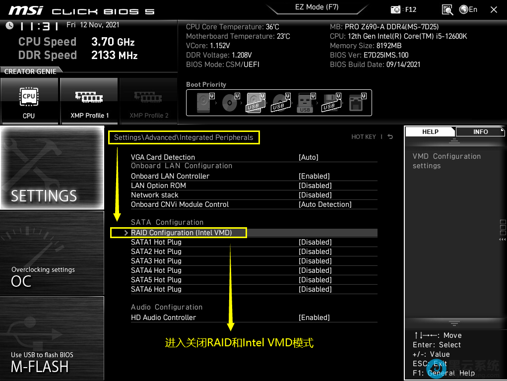 �ر�raid��vmd