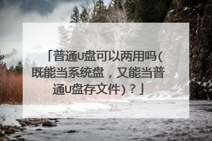 ��ͨU�̿���������(���ܵ�ϵͳ�̣����ܵ���ͨU�̴��ļ�)��