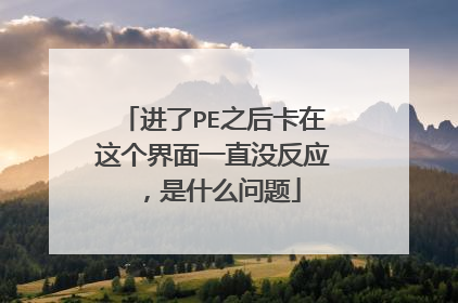 ����PE֮�����������һֱû��Ӧ����ʲô����