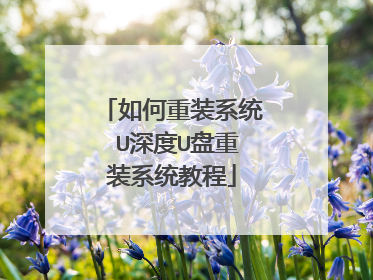 �����װϵͳ U���U����װϵͳ�̳�