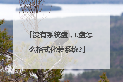 û��ϵͳ�̣�U����ô��ʽ��װϵͳ?