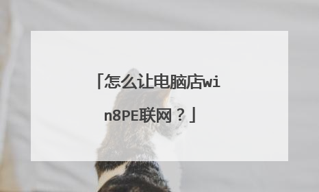 ��ô�õ��Ե�win8PE������