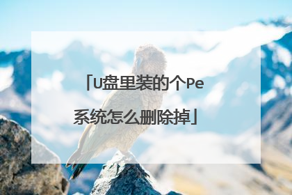 U����װ�ĸ�Peϵͳ��ôɾ����