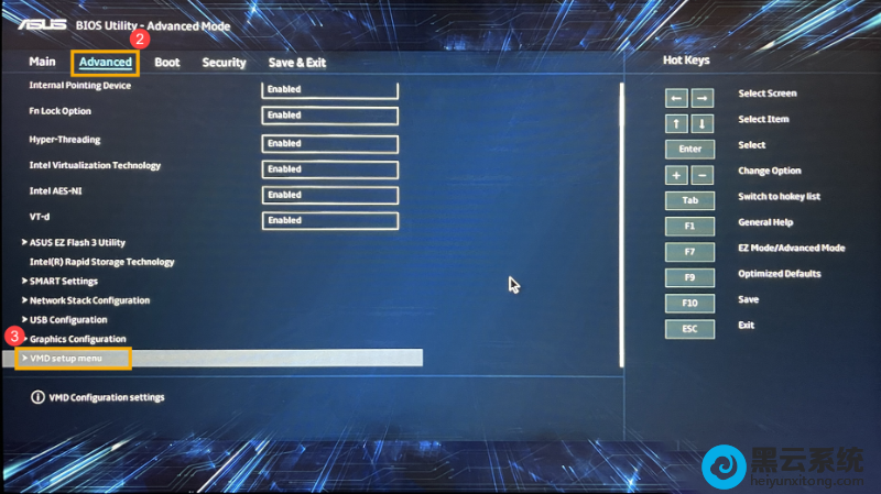 ����vmd�˵�