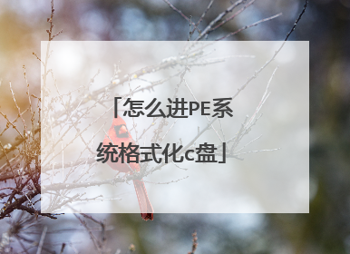 ��ô��PEϵͳ��ʽ��c��