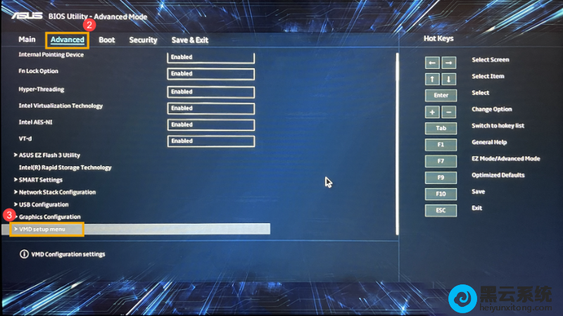 ����vmd�˵�