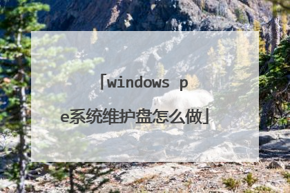 windows peϵͳά������ô��