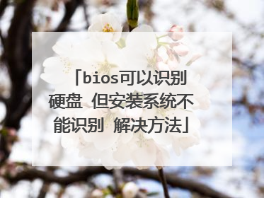 bios����ʶ��Ӳ�� ����װϵͳ����ʶ�� �������