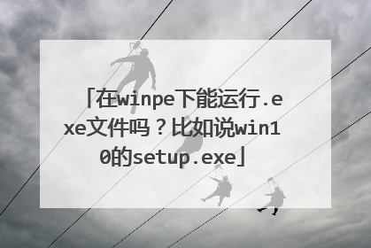 ��winpe��������.exe�ļ��𣿱���˵win10��setup.exe