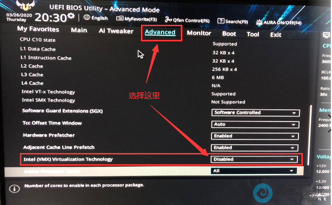 找到Intel (VMX) Virtuallzation Technology