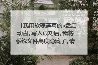 我用软碟通写的u盘启动盘,写入成功后,我将系统文件高度隐藏了,请问应该怎么删除,怎么将隐藏的文件删除