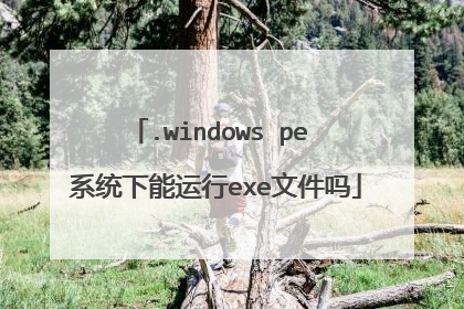.windows pe ϵͳ��������exe�ļ���