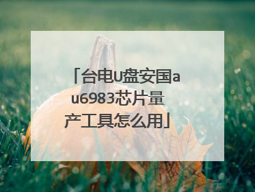 ̨��U�̰���au6983оƬ����������ô��