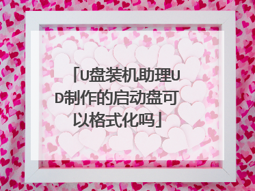 U��װ������UD�����������̿��Ը�ʽ����