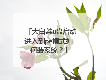 ��ײ�u���������뵽peģʽ���װϵͳ��