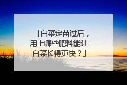 �ײ˶������������Щ�������ðײ˳��ø��죿