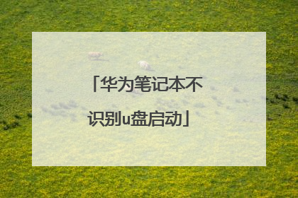 ��Ϊ�ʼǱ���ʶ��u������