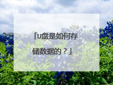 U������δ洢���ݵģ�