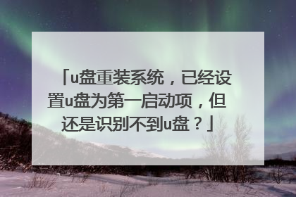 u����װϵͳ���Ѿ�����u��Ϊ��һ�����������ʶ�𲻵�u�̣�