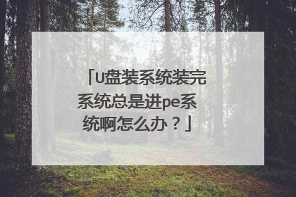 U��װϵͳװ��ϵͳ���ǽ�peϵͳ����ô�죿