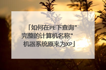 �����PE�²�ѯ