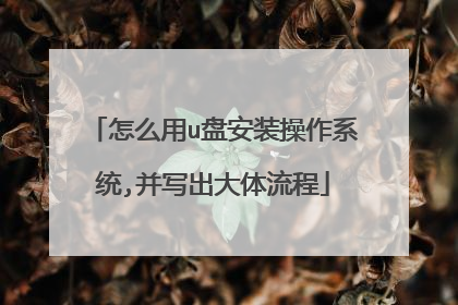 ��ô��u�̰�װ����ϵͳ,��д����������