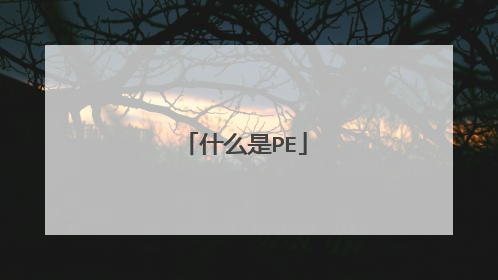 ʲô��PE
