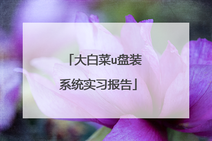 ��ײ�u��װϵͳʵϰ����