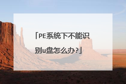 PEϵͳ�²���ʶ��u����ô��?