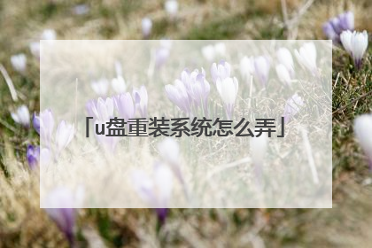 u盘重装系统怎么弄