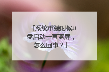 ϵͳ��װʱ��U������һֱ��������ô���£�