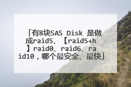 ��8��SAS Disk ������raid5����raid5+h��raid0��raid6��raid10���ĸ��ȫ�����