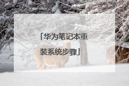 ��Ϊ�ʼǱ���װϵͳ����