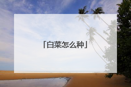 �ײ���ô��