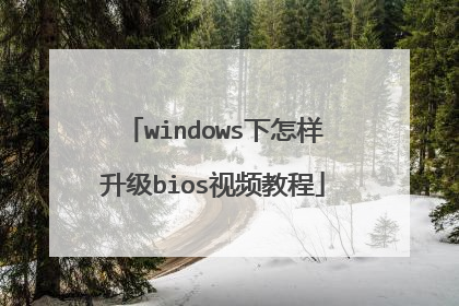 windows����������bios��Ƶ�̳�