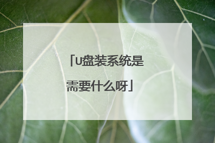 U��װϵͳ����Ҫʲôѽ