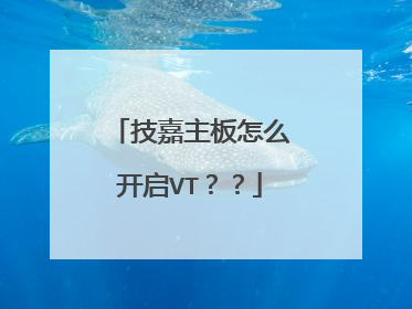 ����������ô����VT����