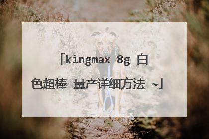 kingmax 8g ��ɫ���� ������ϸ���� ~