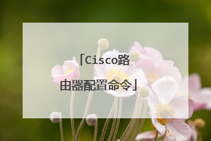 Cisco·������������