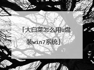 大白菜怎么用u盘装win7系统