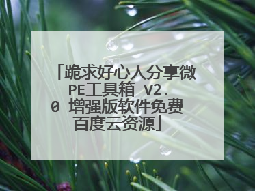 ��������˷���΢PE������ V2.0 ��ǿ��������Ѱٶ�����Դ