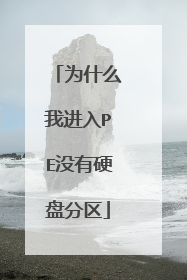 Ϊʲô�ҽ���PEû��Ӳ�̷���