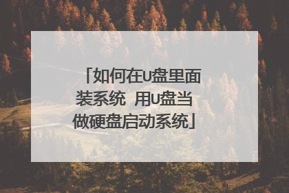 �����U������װϵͳ ��U�̵���Ӳ������ϵͳ